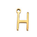 IGH1