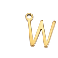 IGW1
