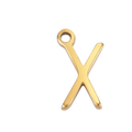 IGX1