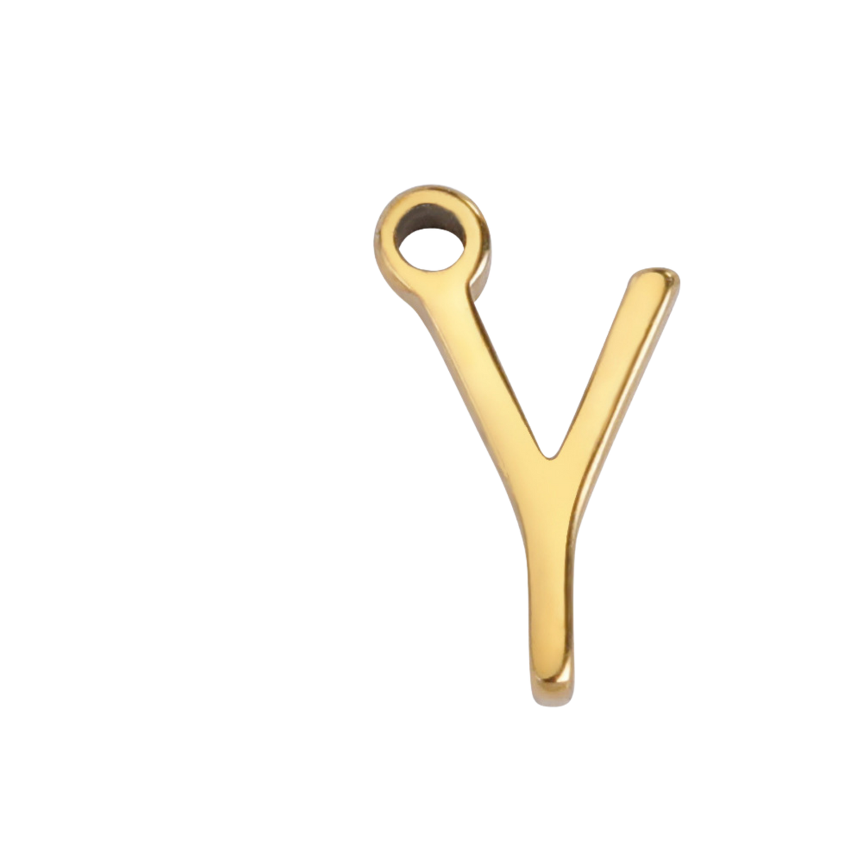 IGY1