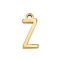 IGZ1