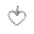 LS55